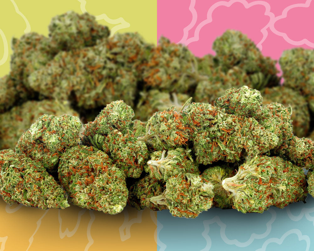 Zaza 2 Ounces (4 X 14 Grams of Littles)